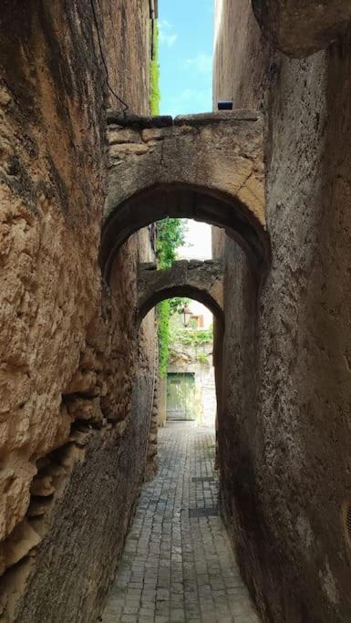 Entre Uzes Et Le Pont-Du-Gard Le Logis D'Autrefois Apartment Castillon-du-Gard Luaran gambar